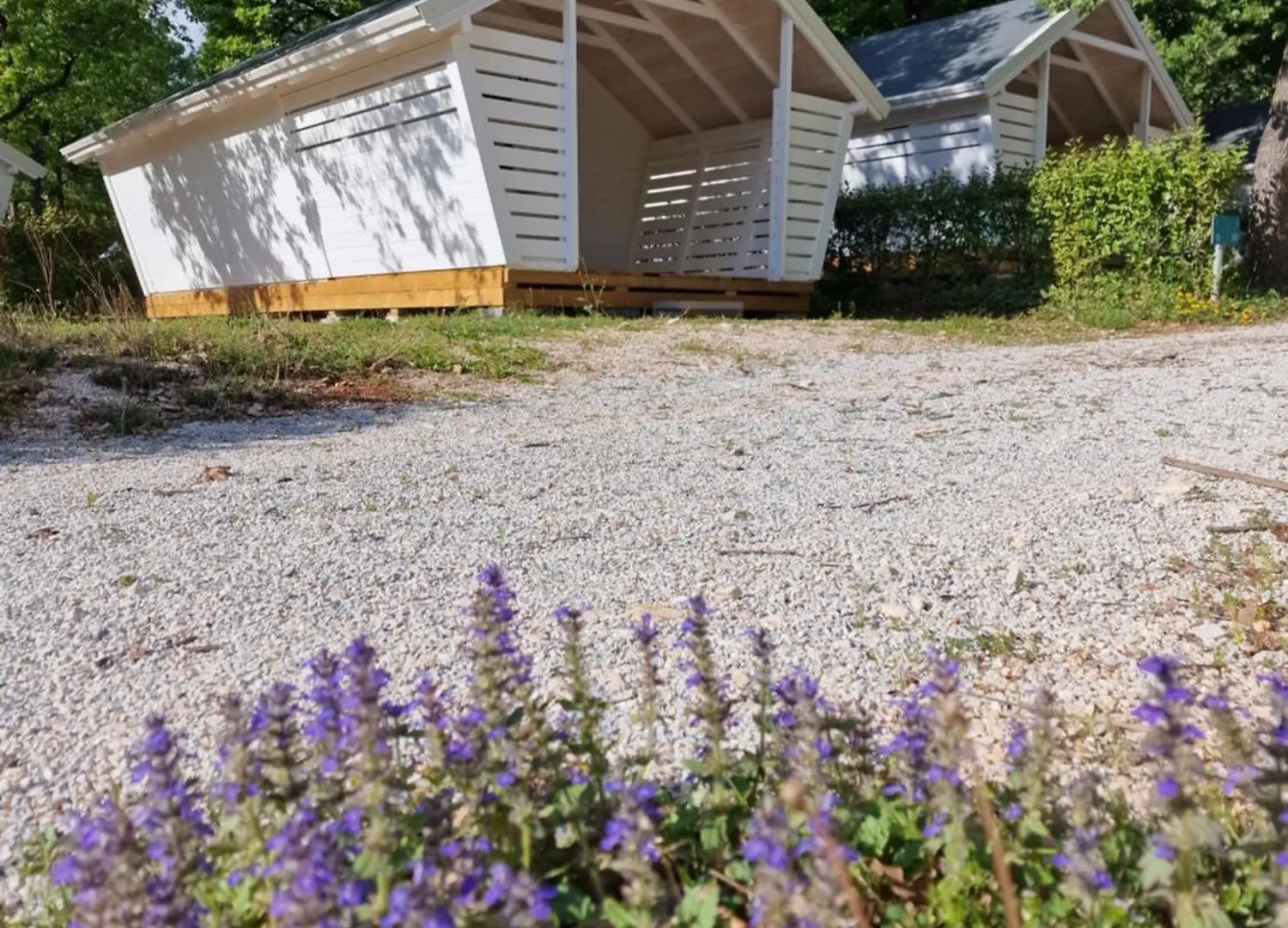 Fkk Adriatika In Fkk Solaris Naturist Resort Porec
