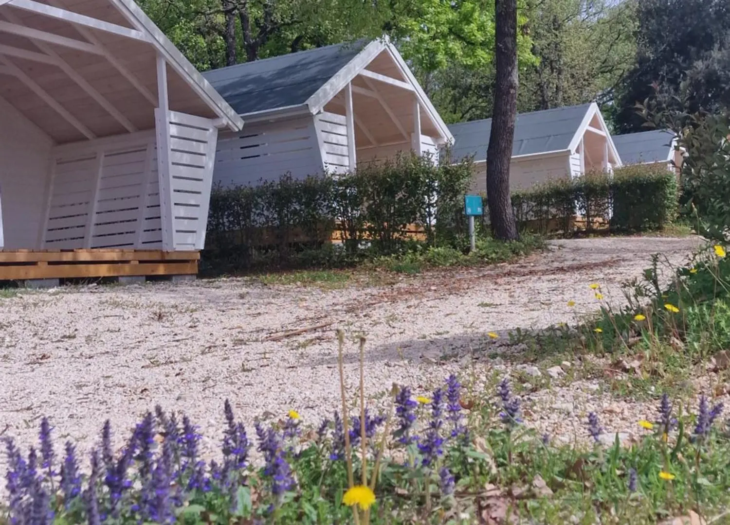 Fkk Adriatika In Fkk Solaris Naturist Resort Porec